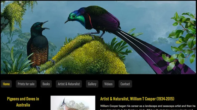 Websites + Online