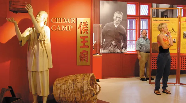 Museums & Displays