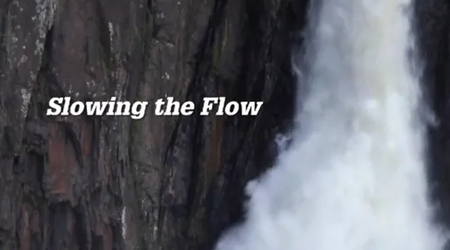 Slowing The Flow